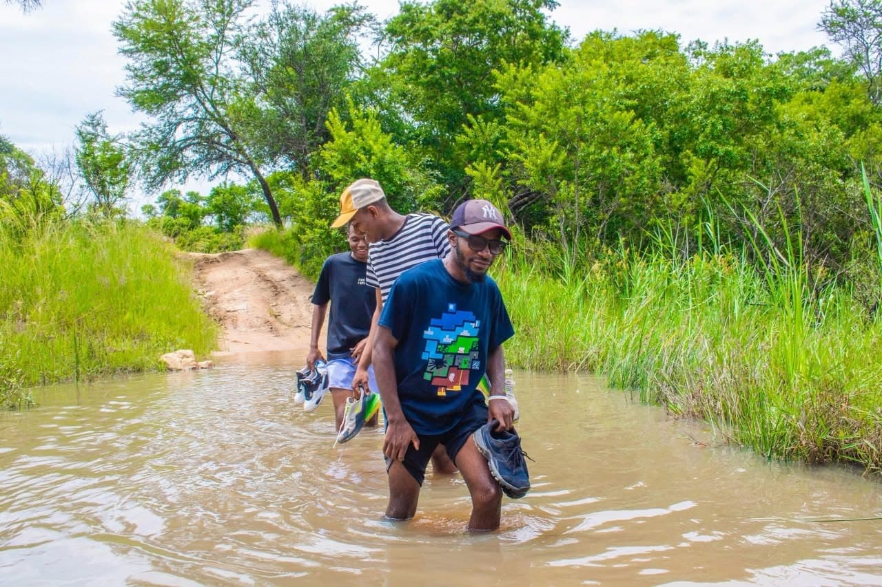 Bushwalk programmes in the field