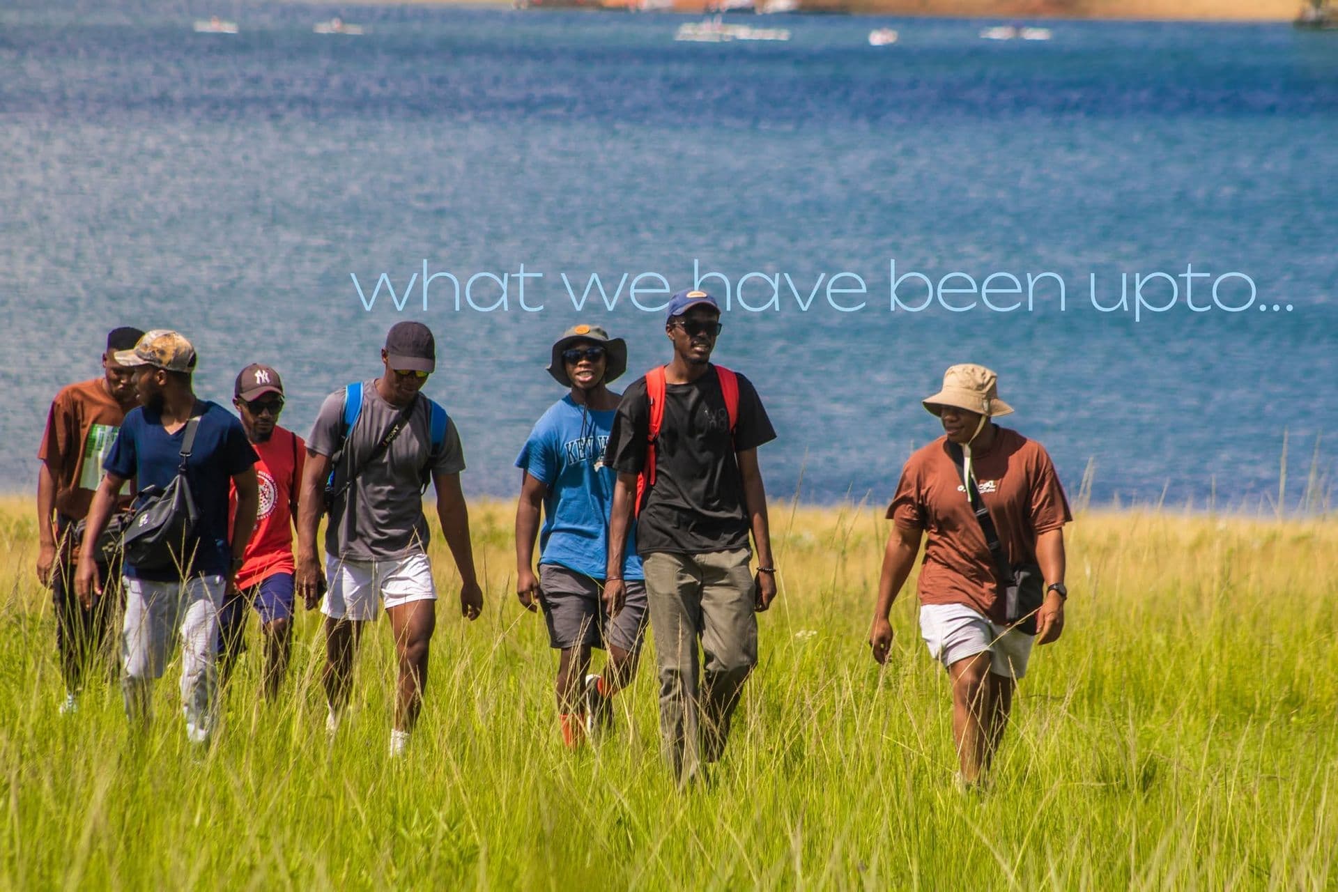 Bushwalk programmes in the field